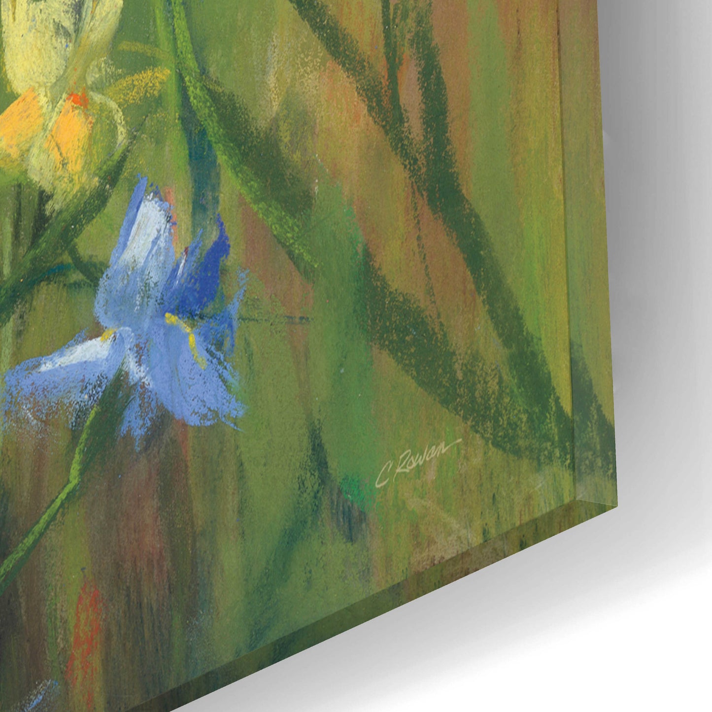 Epic Art 'Blue And Yellow Flower Field' by Carol Rowan, Acrylic Glass Wall Art,16x12