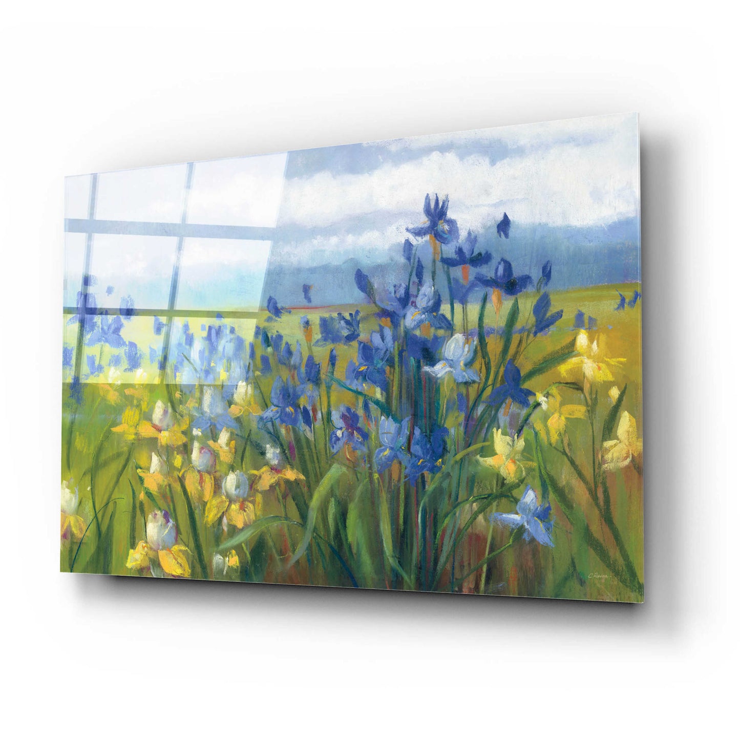 Epic Art 'Blue And Yellow Flower Field' by Carol Rowan, Acrylic Glass Wall Art,24x16