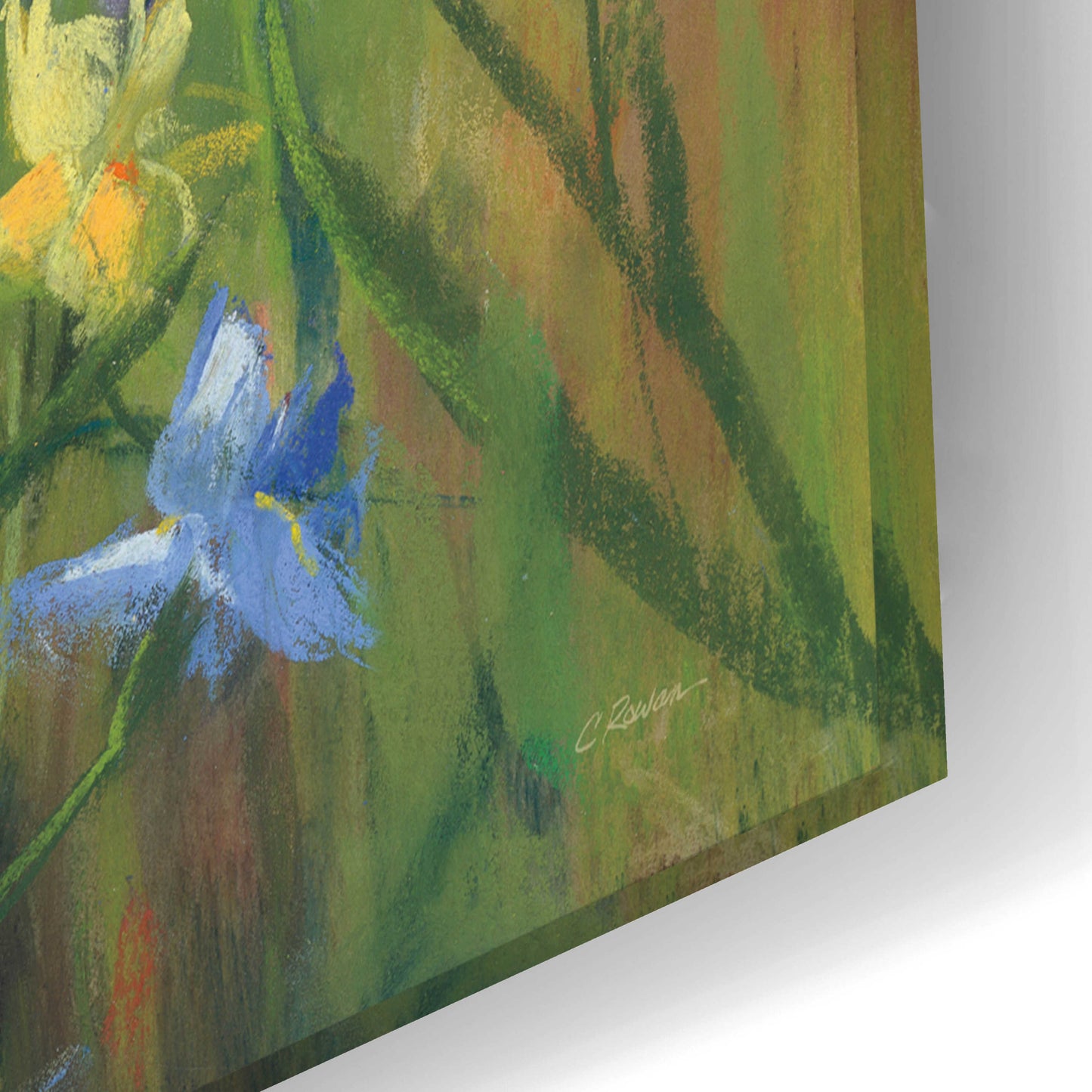 Epic Art 'Blue And Yellow Flower Field' by Carol Rowan, Acrylic Glass Wall Art,24x16