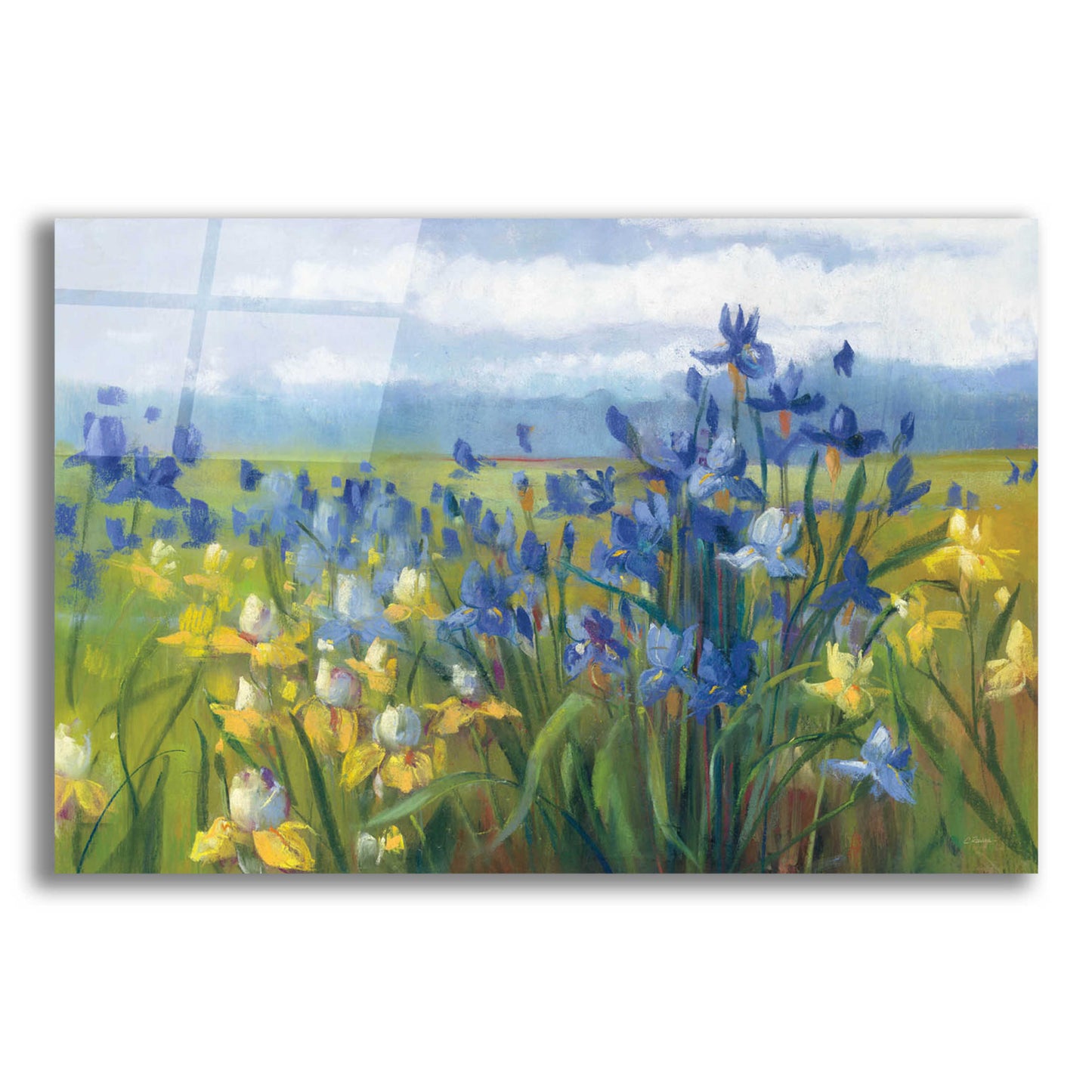 Epic Art 'Blue And Yellow Flower Field' by Carol Rowan, Acrylic Glass Wall Art,24x16