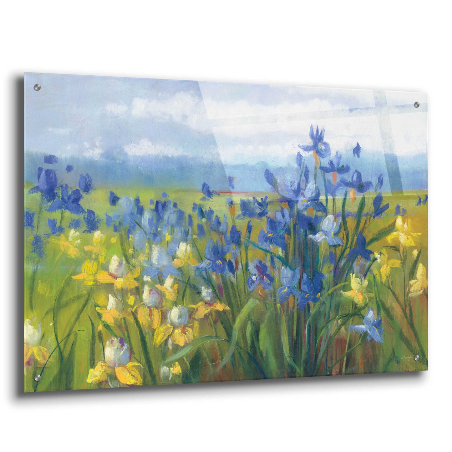 Epic Art 'Blue And Yellow Flower Field' by Carol Rowan, Acrylic Glass Wall Art,36x24