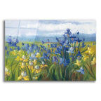 Blue And Yellow Flower Field by Carol Rowan acrylic glass wall art