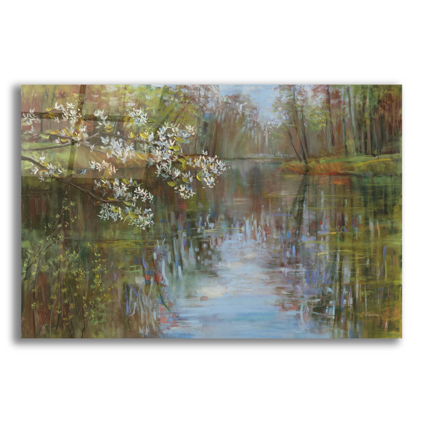 Epic Art 'Spring Reflection' by Carol Rowan, Acrylic Glass Wall Art,24x16