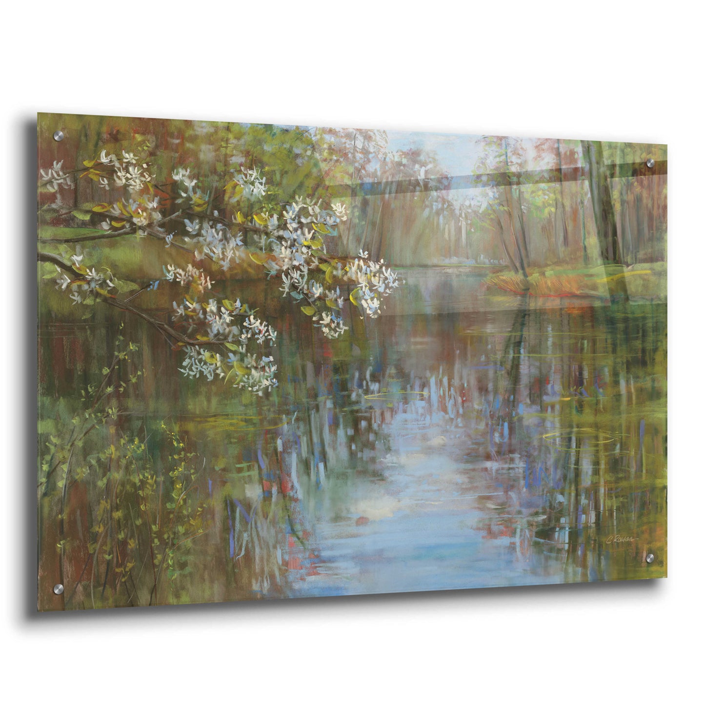 Epic Art 'Spring Reflection' by Carol Rowan, Acrylic Glass Wall Art,36x24