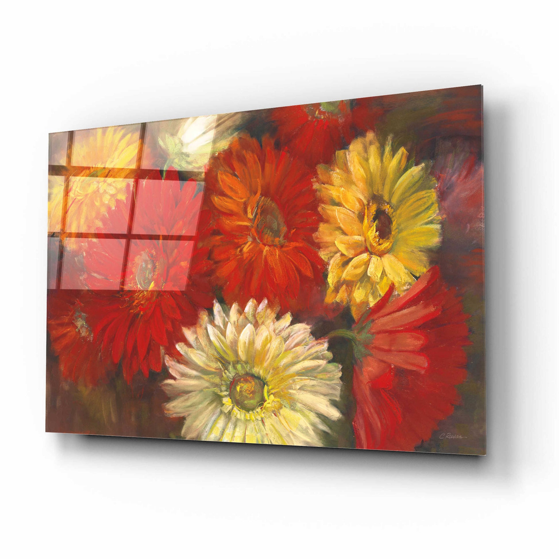 Epic Art 'Gerberas' by Carol Rowan, Acrylic Glass Wall Art,16x12