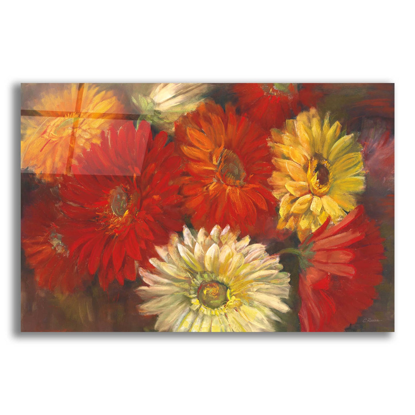 Epic Art 'Gerberas' by Carol Rowan, Acrylic Glass Wall Art,24x16