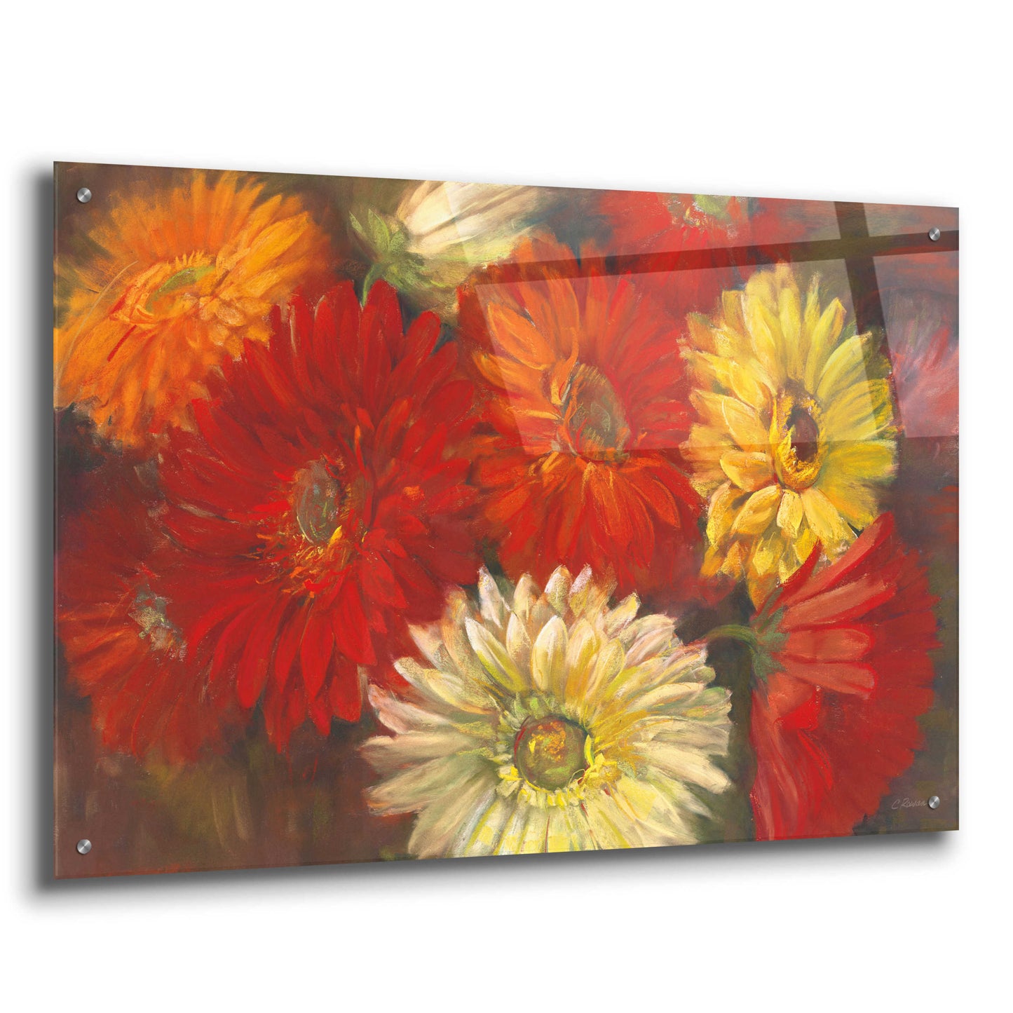 Epic Art 'Gerberas' by Carol Rowan, Acrylic Glass Wall Art,36x24