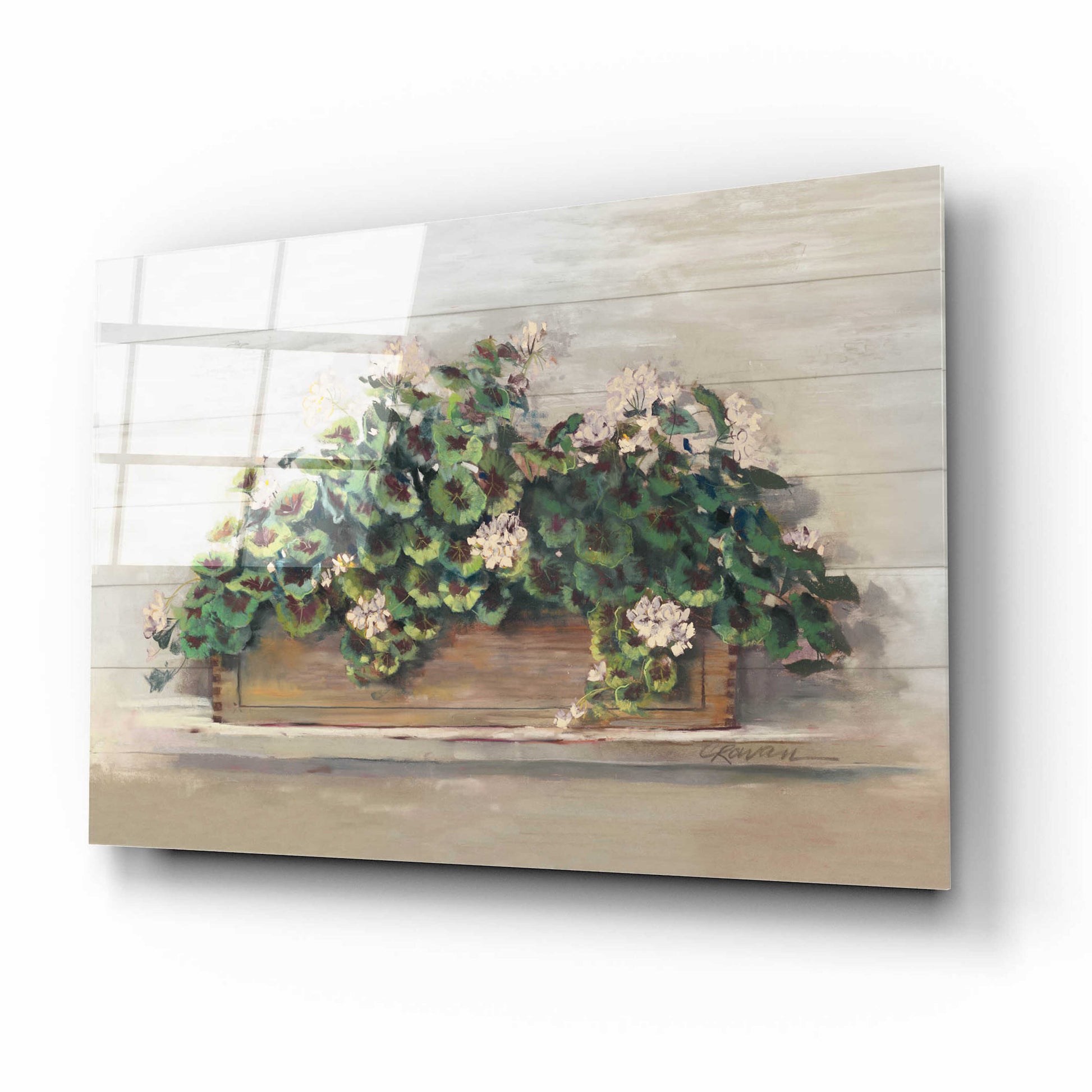 Epic Art 'Market Geraniums Crop' by Carol Rowan, Acrylic Glass Wall Art,16x12