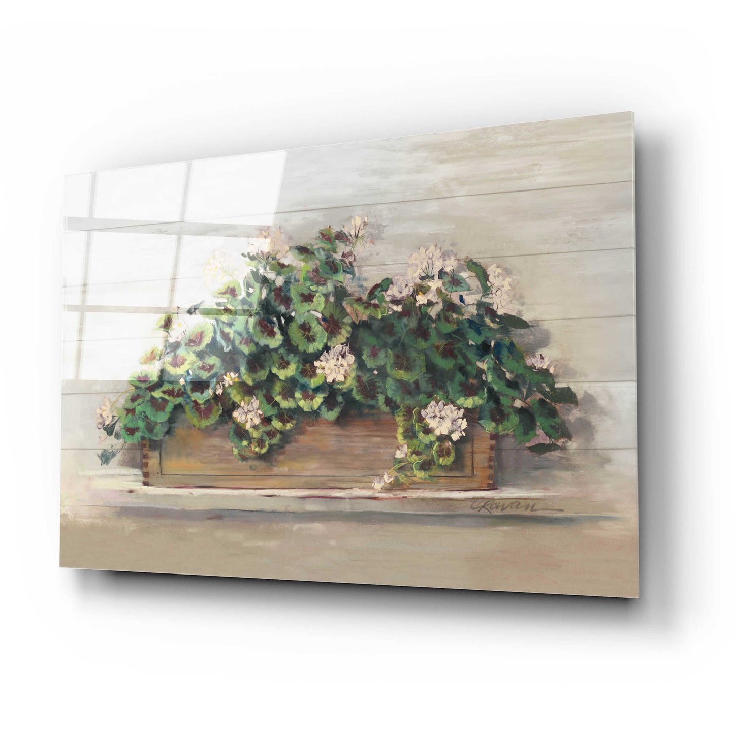 Epic Art 'Market Geraniums Crop' by Carol Rowan, Acrylic Glass Wall Art,24x16