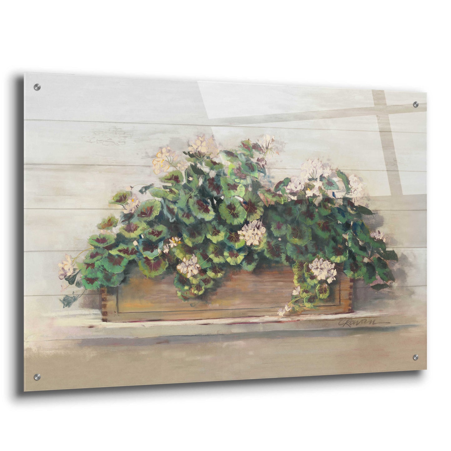 Epic Art 'Market Geraniums Crop' by Carol Rowan, Acrylic Glass Wall Art,36x24