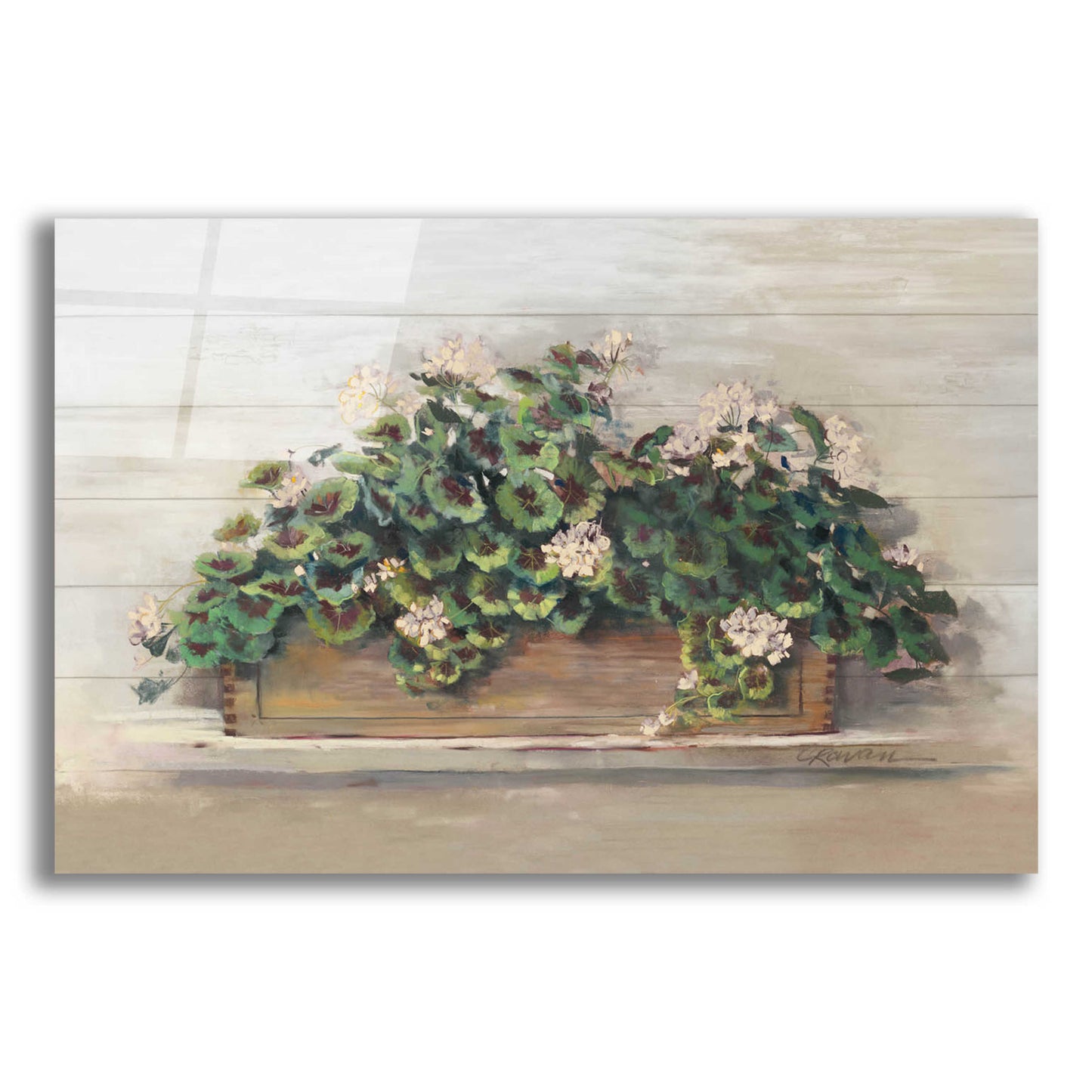 Epic Art 'Market Geraniums Crop' by Carol Rowan, Acrylic Glass Wall Art