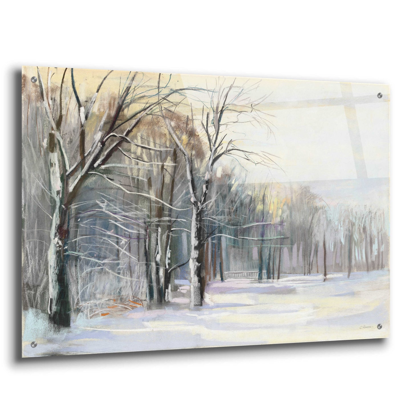 Epic Art 'Winter In The Park' by Carol Rowan, Acrylic Glass Wall Art,36x24