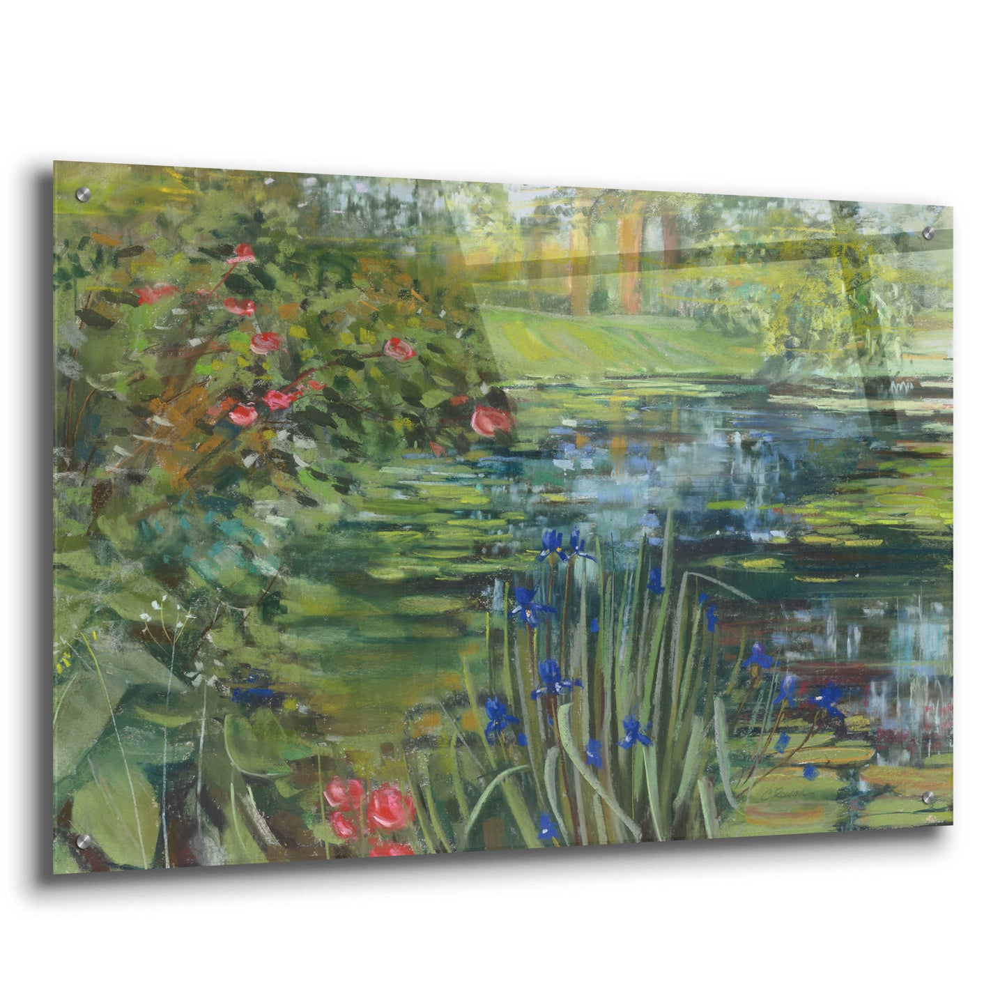 Epic Art 'Peaceful Pond' by Carol Rowan, Acrylic Glass Wall Art,36x24