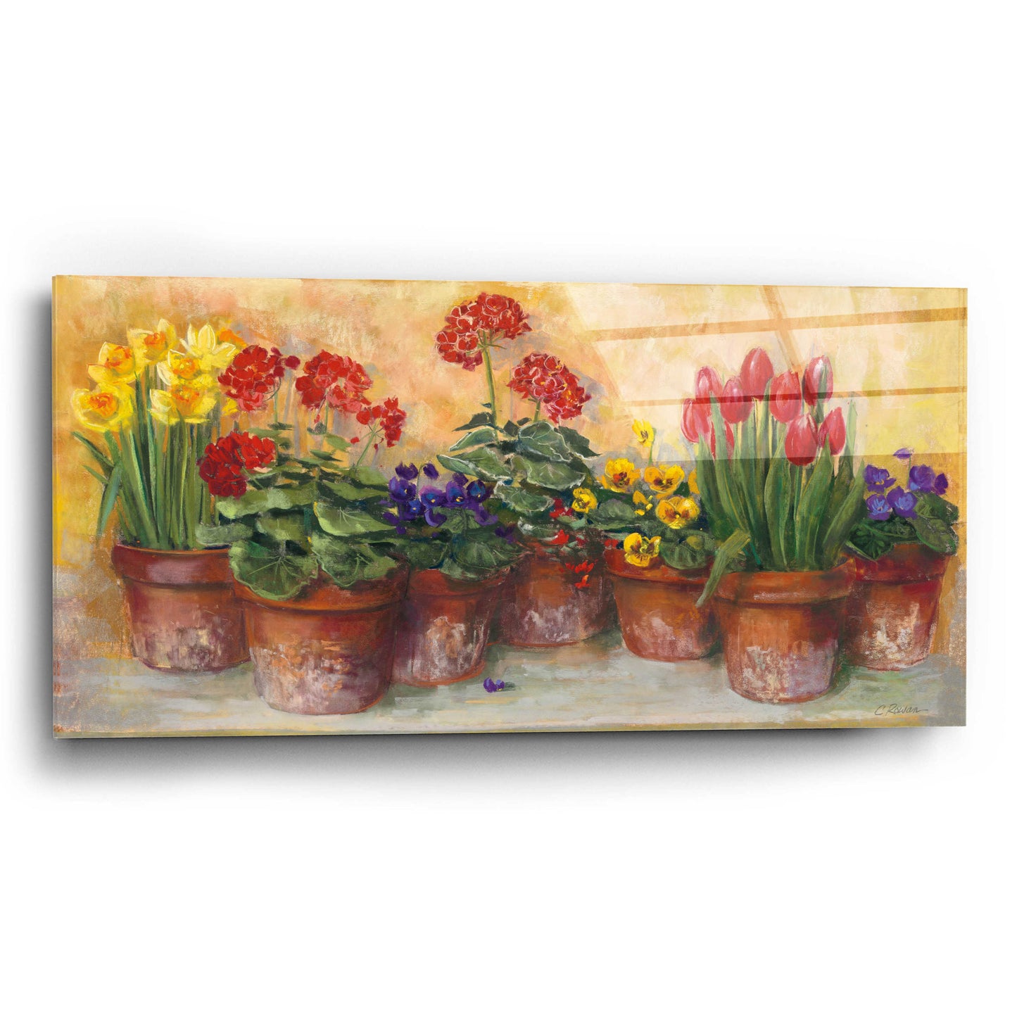 Epic Art 'Spring In The Greenhouse' by Carol Rowan, Acrylic Glass Wall Art,24x12