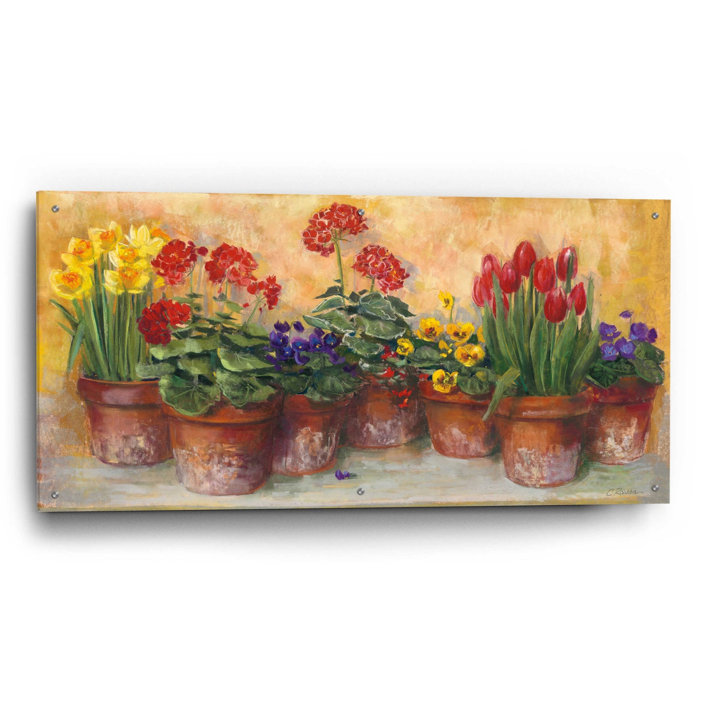 Epic Art 'Spring In The Greenhouse' by Carol Rowan, Acrylic Glass Wall Art,48x24