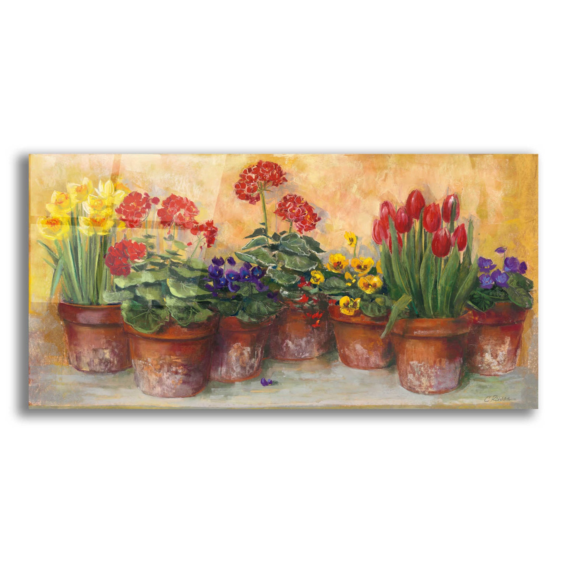 Epic Art 'Spring In The Greenhouse' by Carol Rowan, Acrylic Glass Wall Art