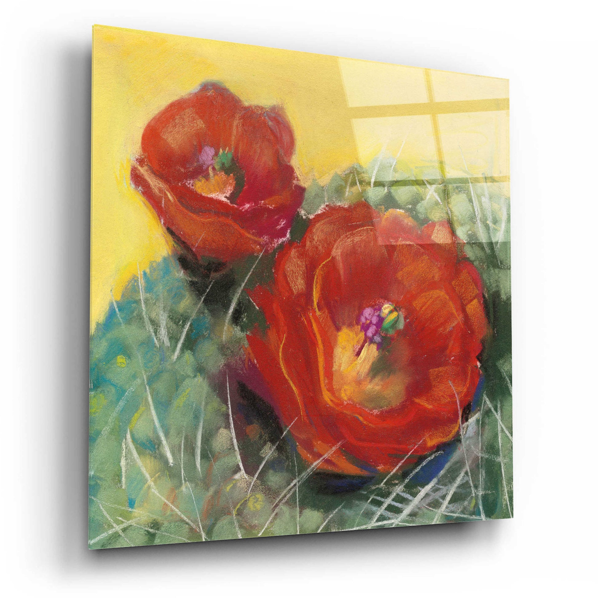 Epic Art 'Blooming Succulent I' by Carol Rowan, Acrylic Glass Wall Art,12x12