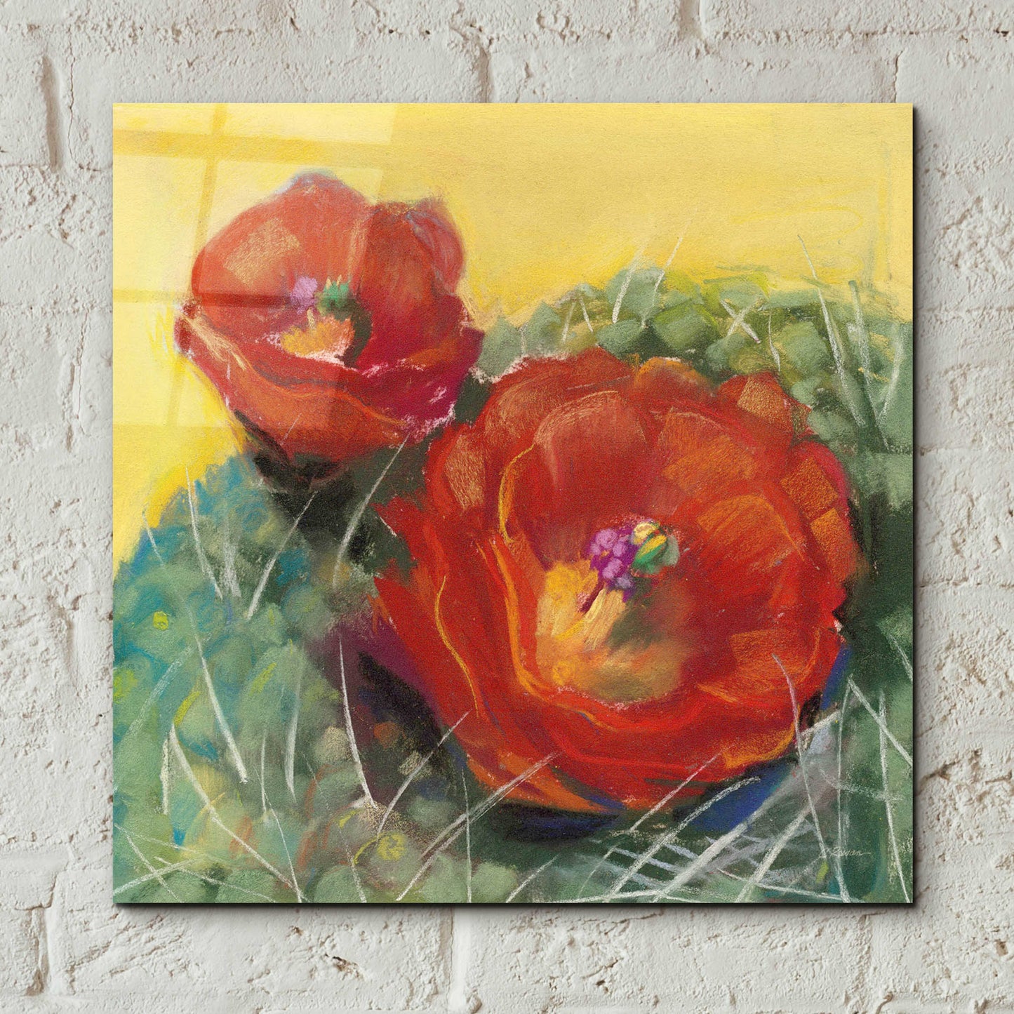 Epic Art 'Blooming Succulent I' by Carol Rowan, Acrylic Glass Wall Art,12x12