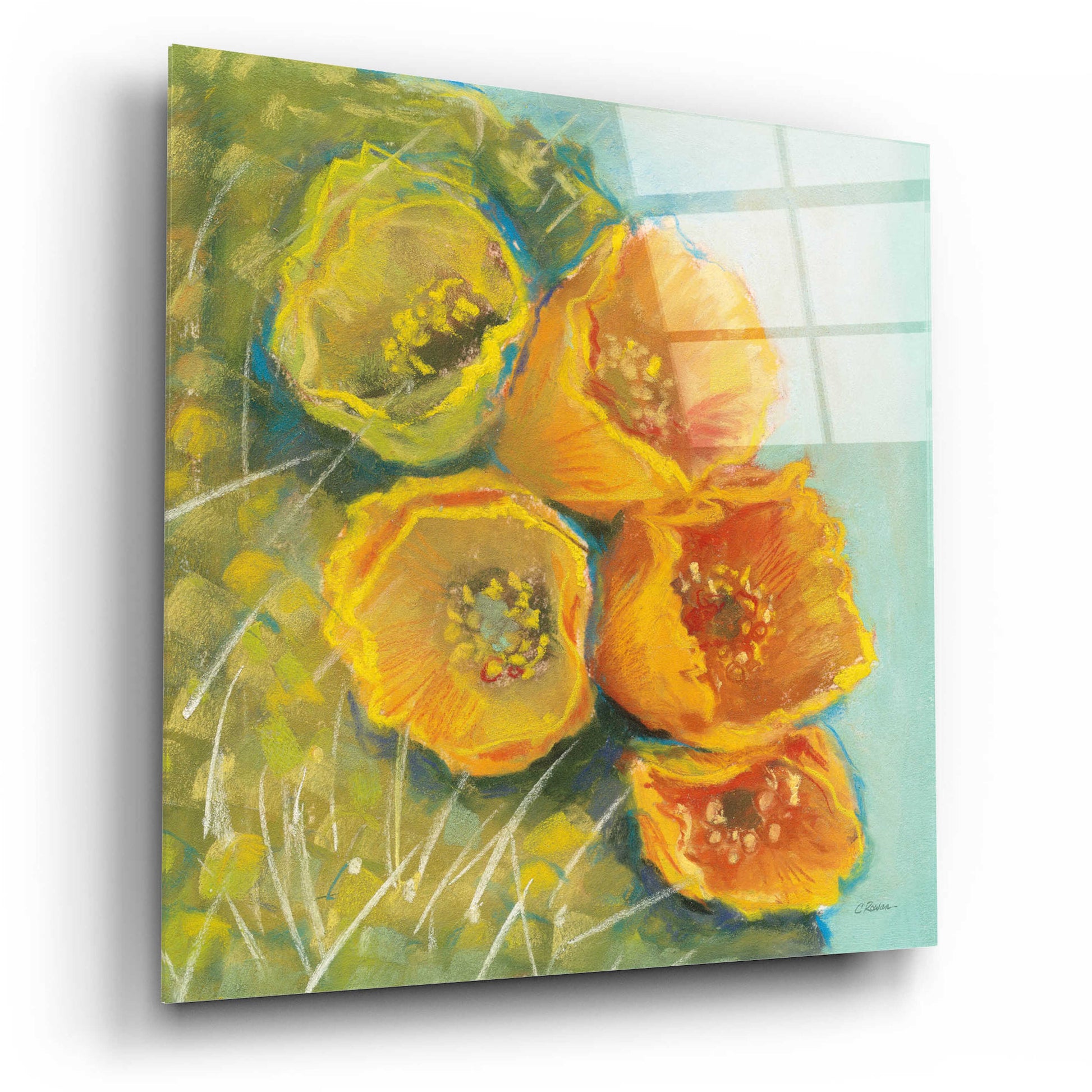 Epic Art 'Blooming Succulent II' by Carol Rowan, Acrylic Glass Wall Art,12x12