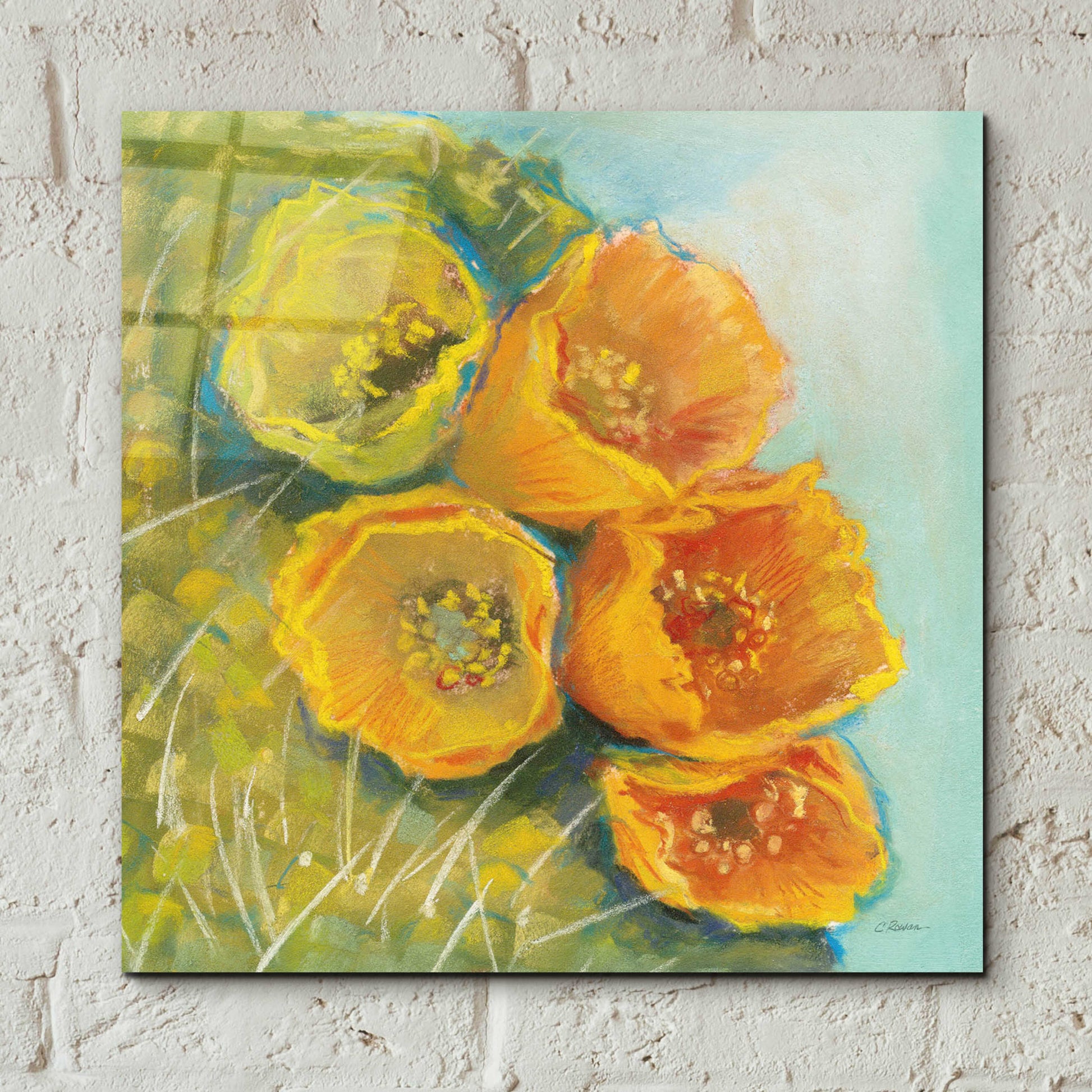 Epic Art 'Blooming Succulent II' by Carol Rowan, Acrylic Glass Wall Art,12x12