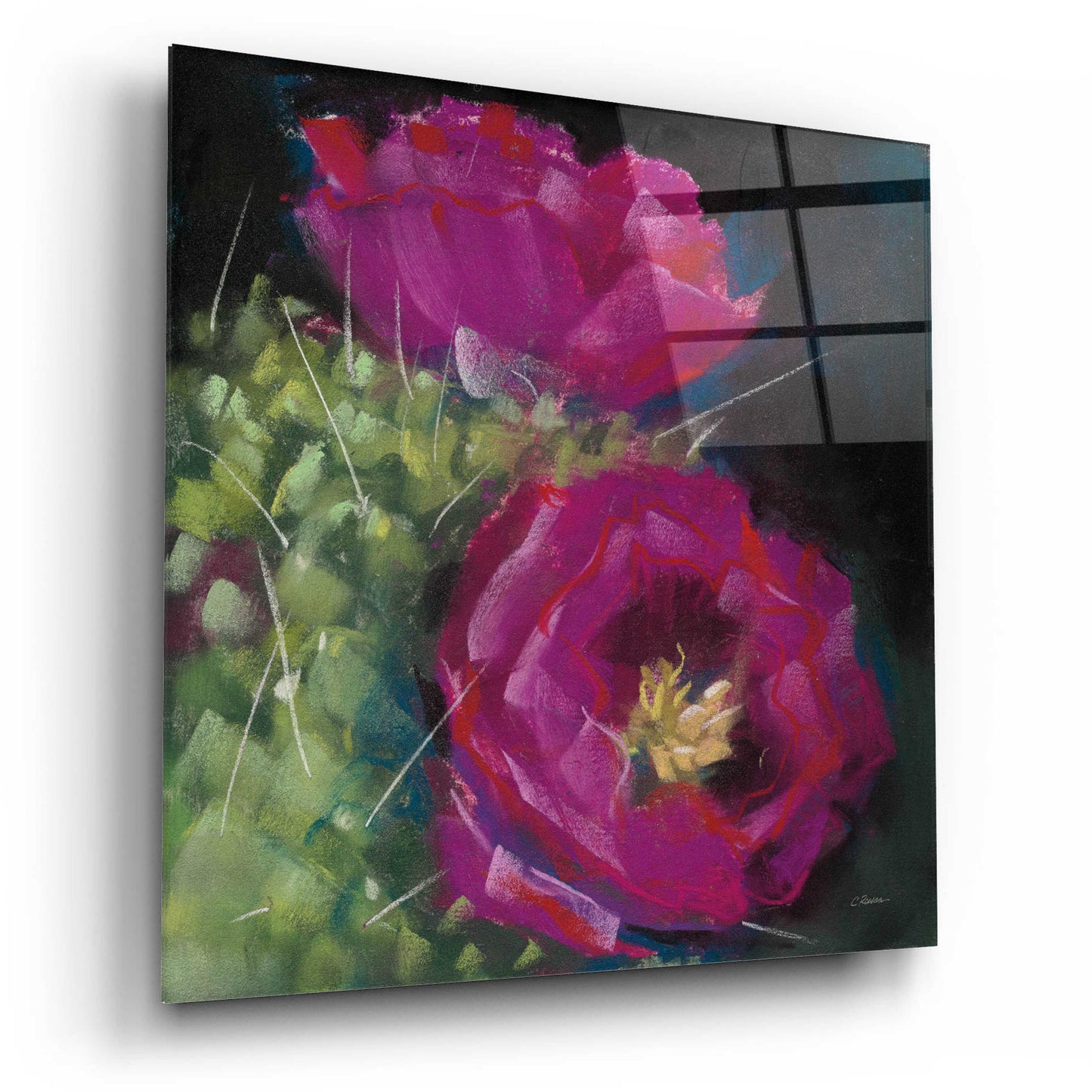 Epic Art 'Blooming Succulent III' by Carol Rowan, Acrylic Glass Wall Art,12x12