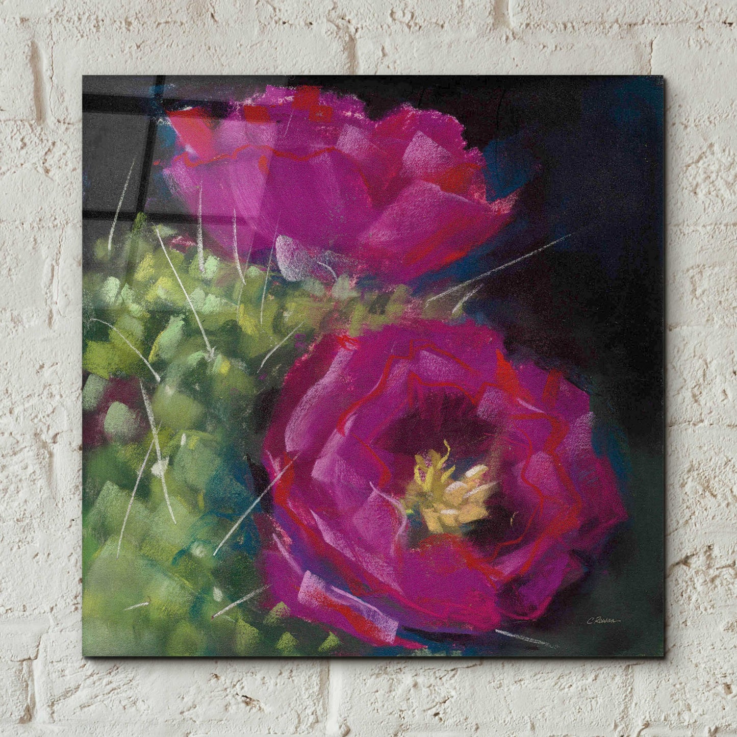 Epic Art 'Blooming Succulent III' by Carol Rowan, Acrylic Glass Wall Art,12x12