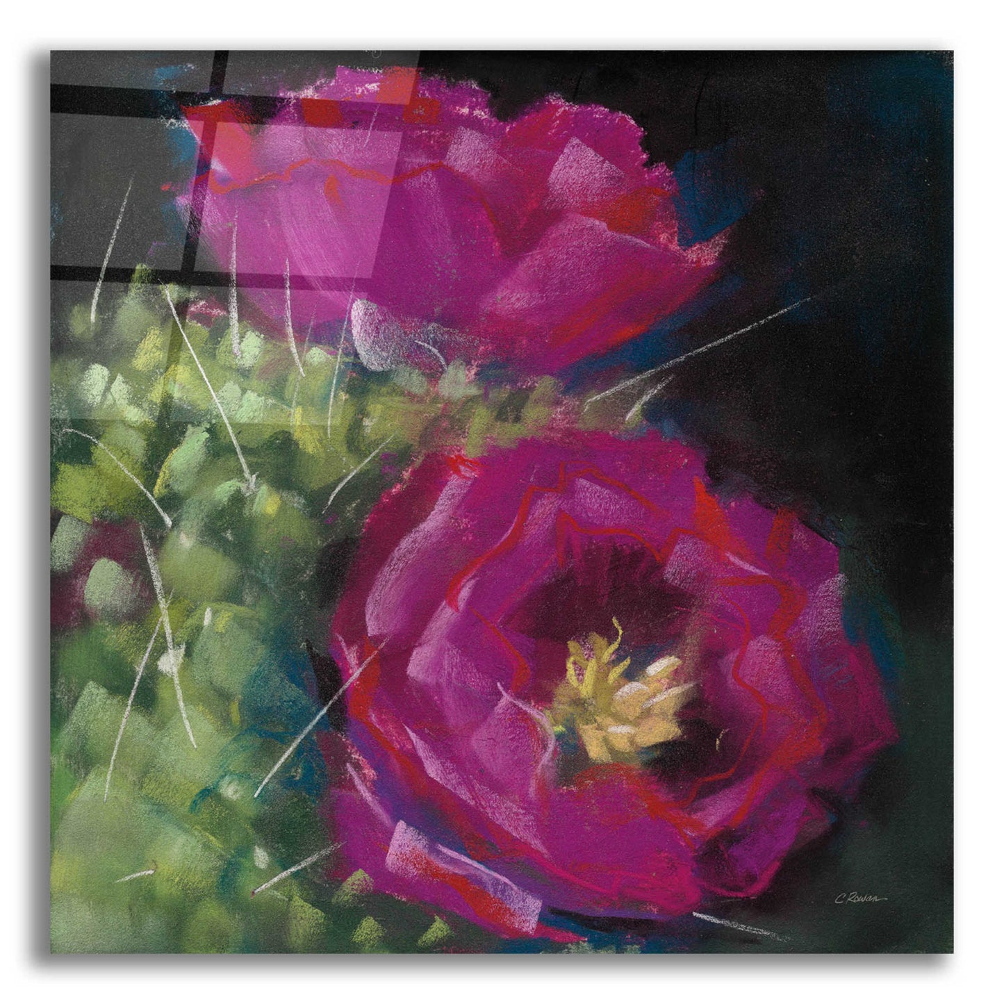 Epic Art 'Blooming Succulent III' by Carol Rowan, Acrylic Glass Wall Art