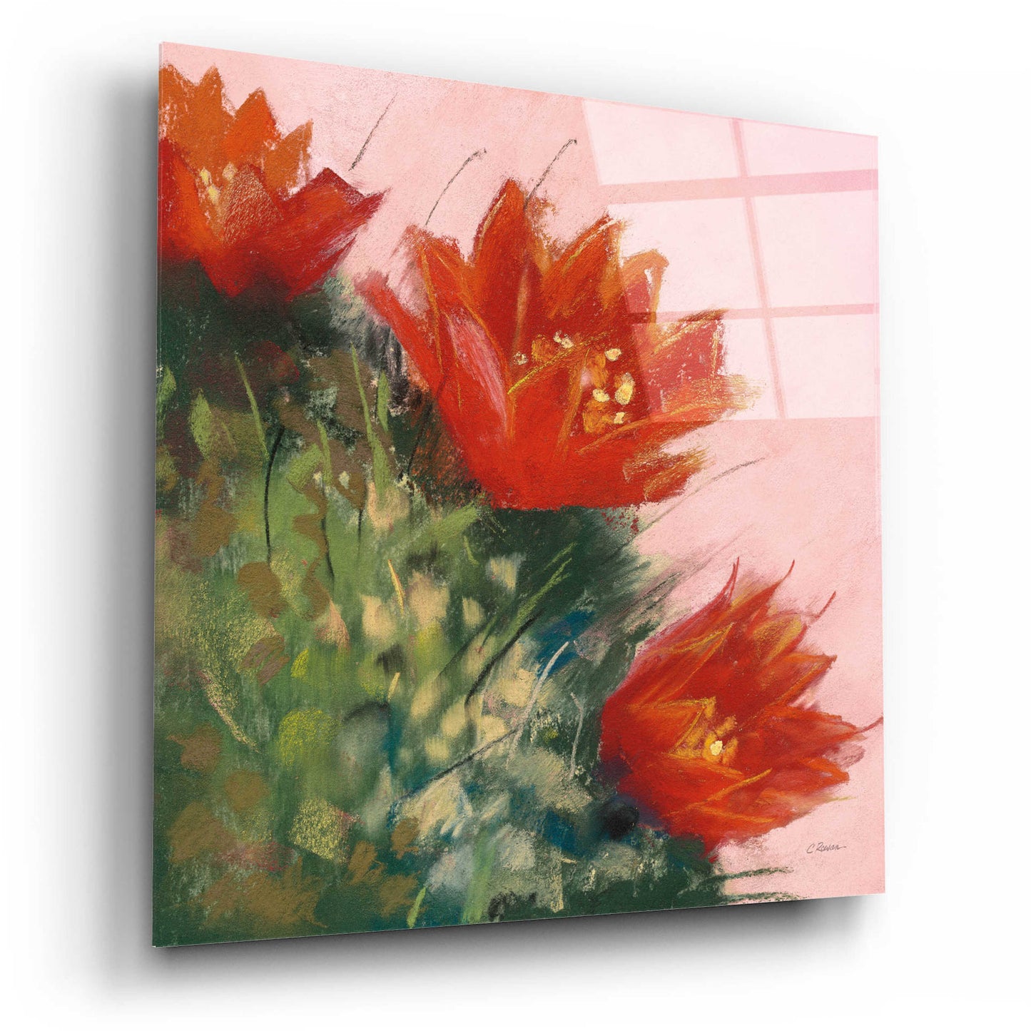 Epic Art 'Blooming Succulent IV' by Carol Rowan, Acrylic Glass Wall Art,12x12