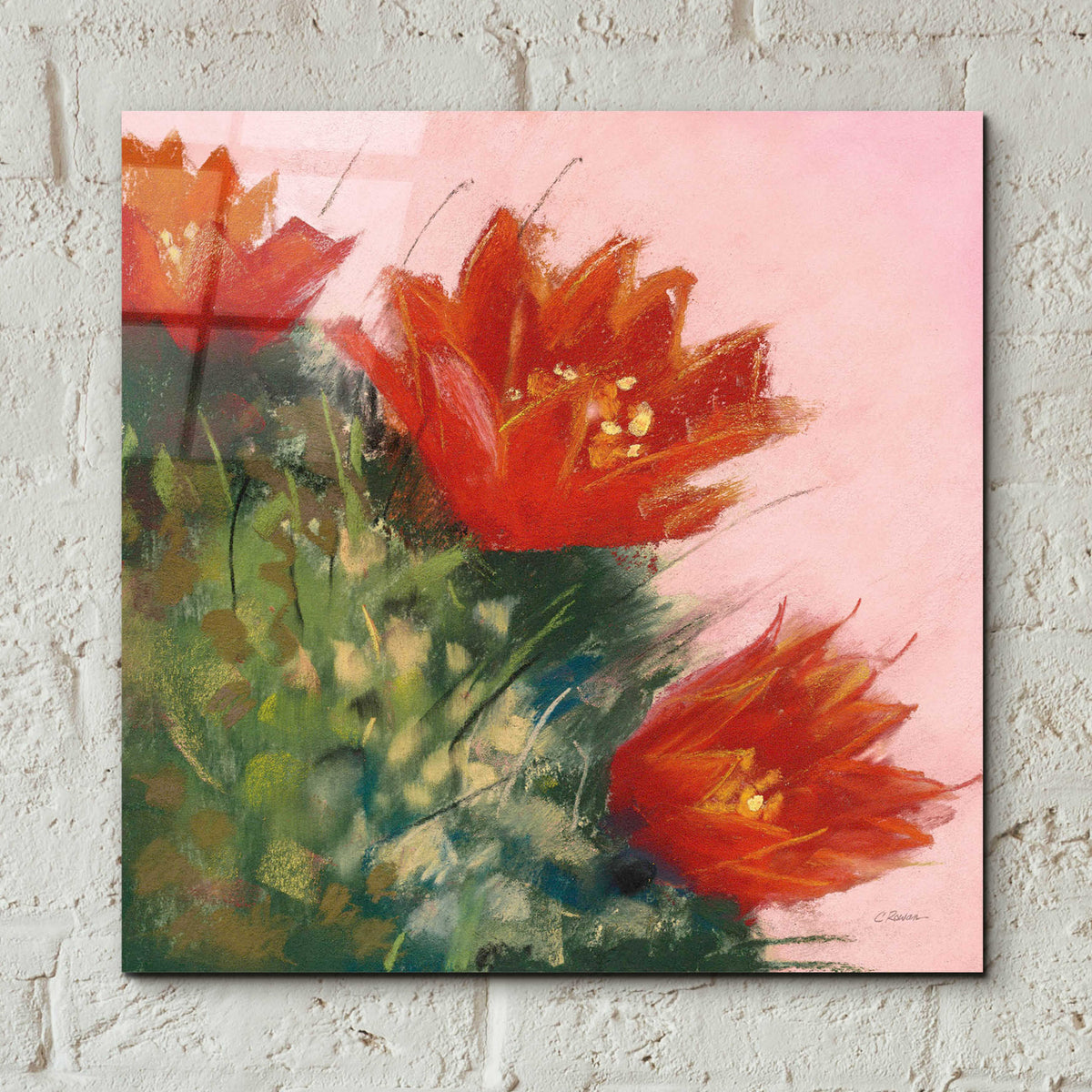 Blooming Succulent IV by Carol Rowan - 12x12 acrylic wall art in a room