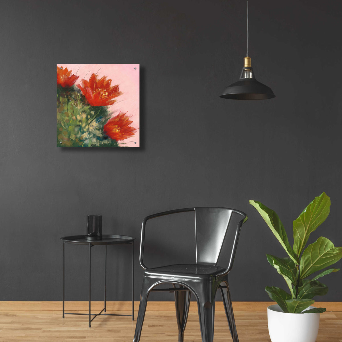 Blooming Succulent IV by Carol Rowan - 24x24 acrylic wall art in a room