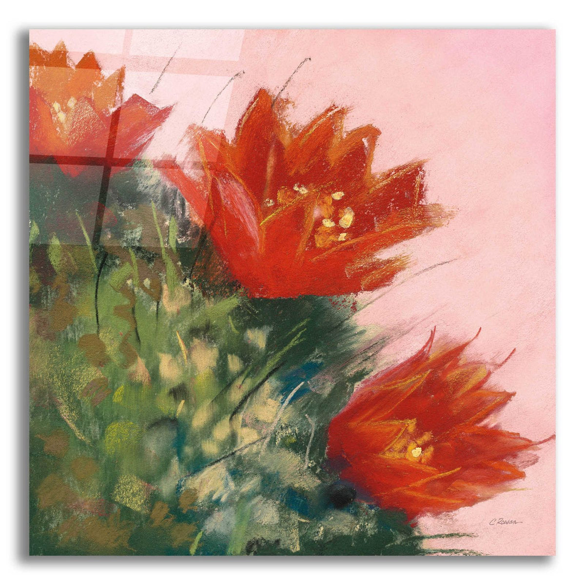 Blooming Succulent IV by Carol Rowan acrylic glass wall art