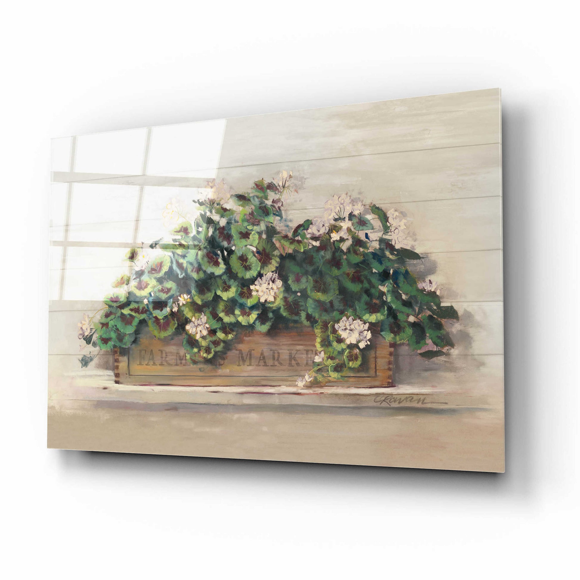 Epic Art 'Market Geraniums Farmers Market Crop' by Carol Rowan, Acrylic Glass Wall Art,16x12