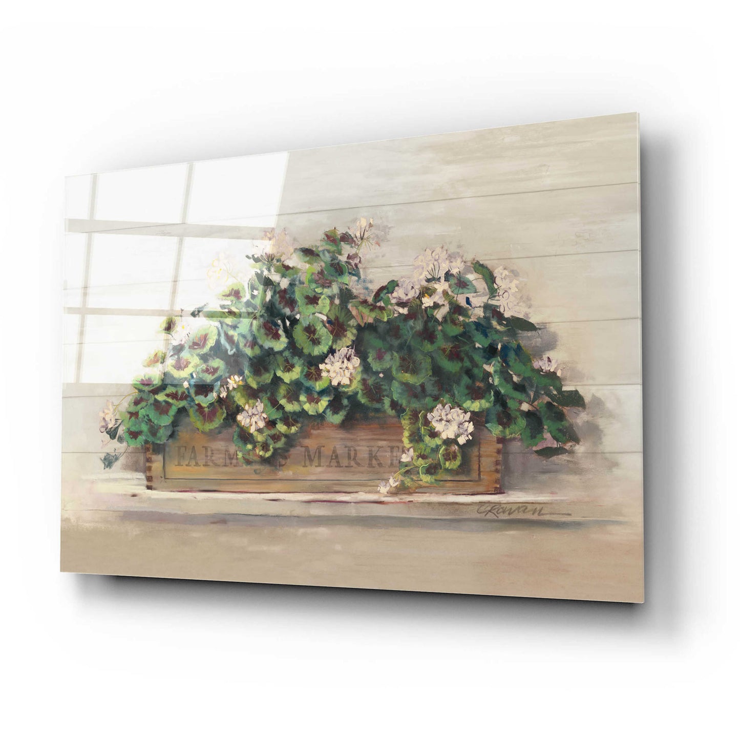 Epic Art 'Market Geraniums Farmers Market Crop' by Carol Rowan, Acrylic Glass Wall Art,24x16