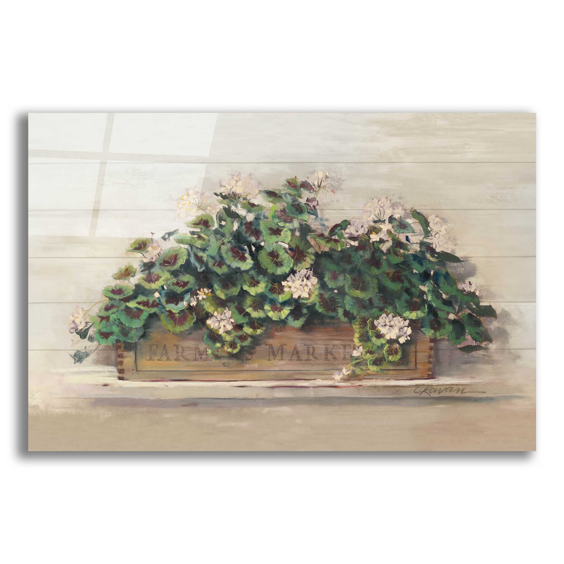 Epic Art 'Market Geraniums Farmers Market Crop' by Carol Rowan, Acrylic Glass Wall Art,24x16