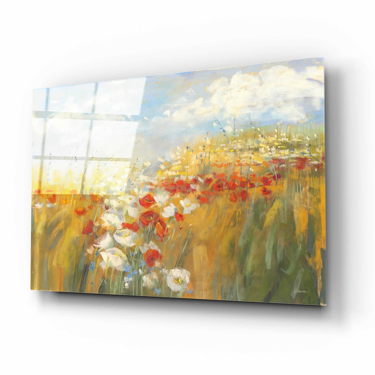 Epic Art 'Poppies And Larkspur' by Carol Rowan, Acrylic Glass Wall Art,16x12