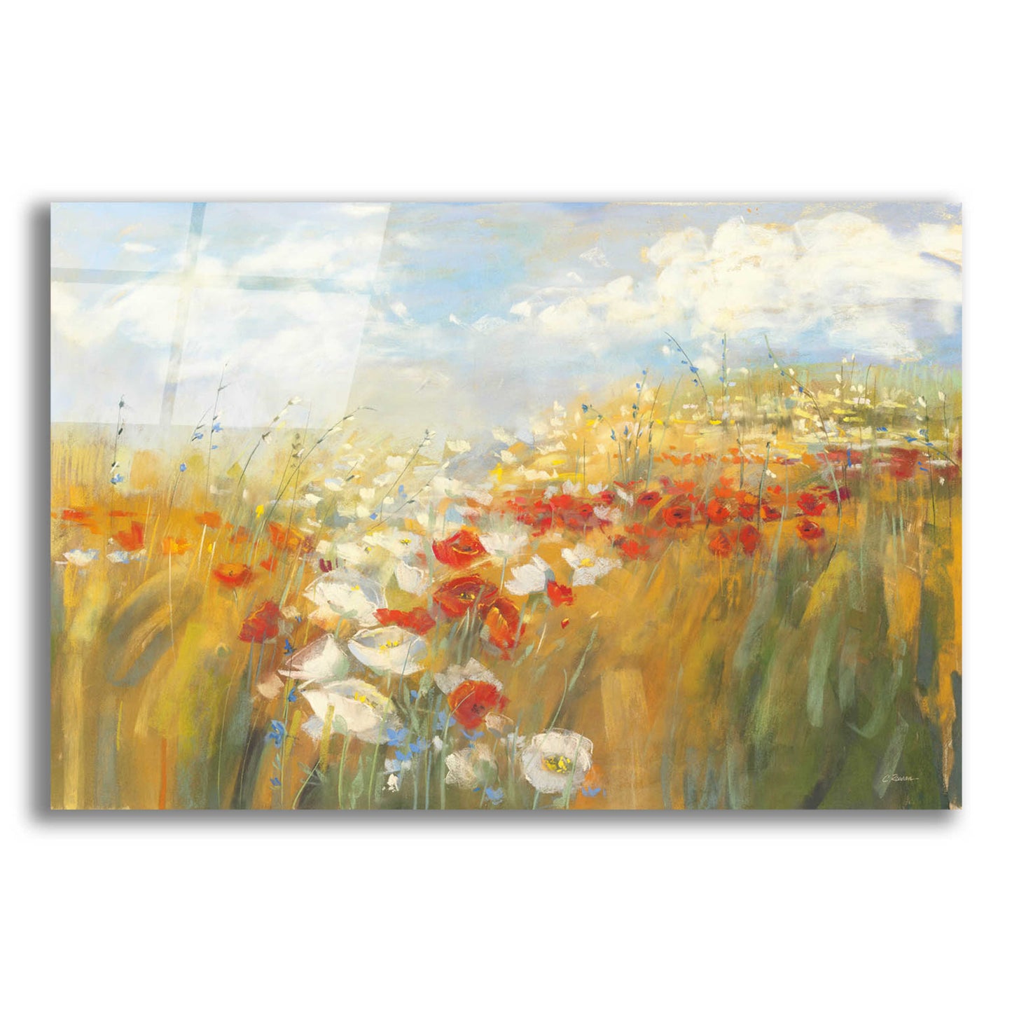 Epic Art 'Poppies And Larkspur' by Carol Rowan, Acrylic Glass Wall Art,24x16