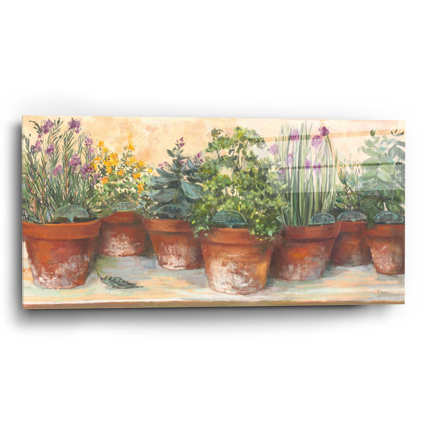 Epic Art 'Country Herbs' by Carol Rowan, Acrylic Glass Wall Art,24x12