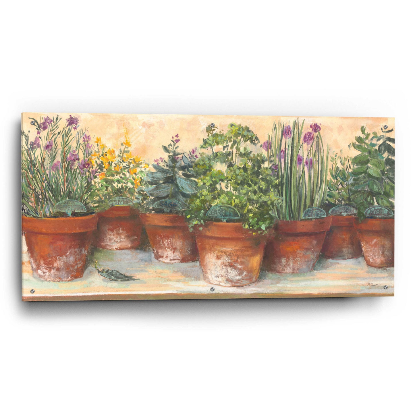 Epic Art 'Country Herbs' by Carol Rowan, Acrylic Glass Wall Art,48x24