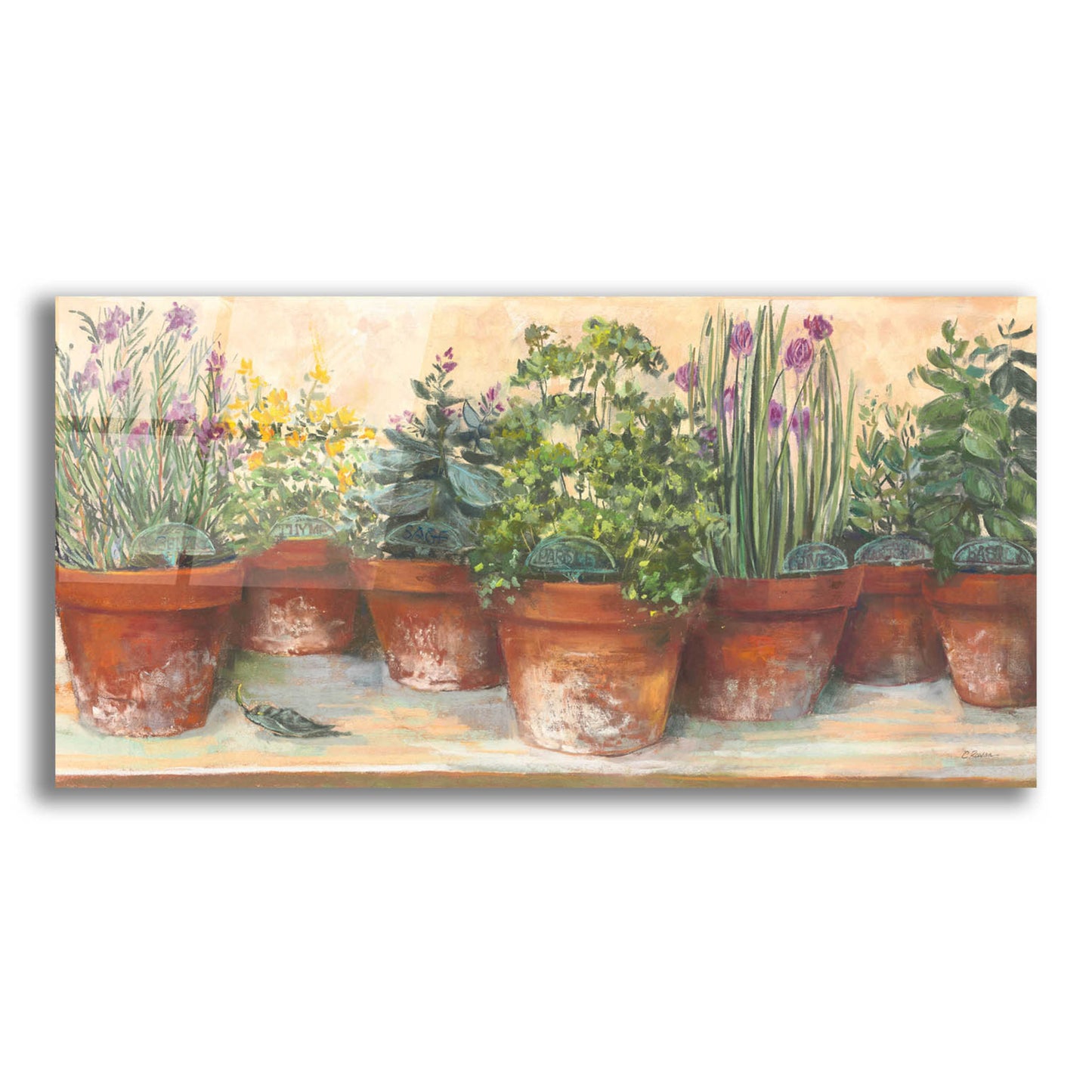 Epic Art 'Country Herbs' by Carol Rowan, Acrylic Glass Wall Art