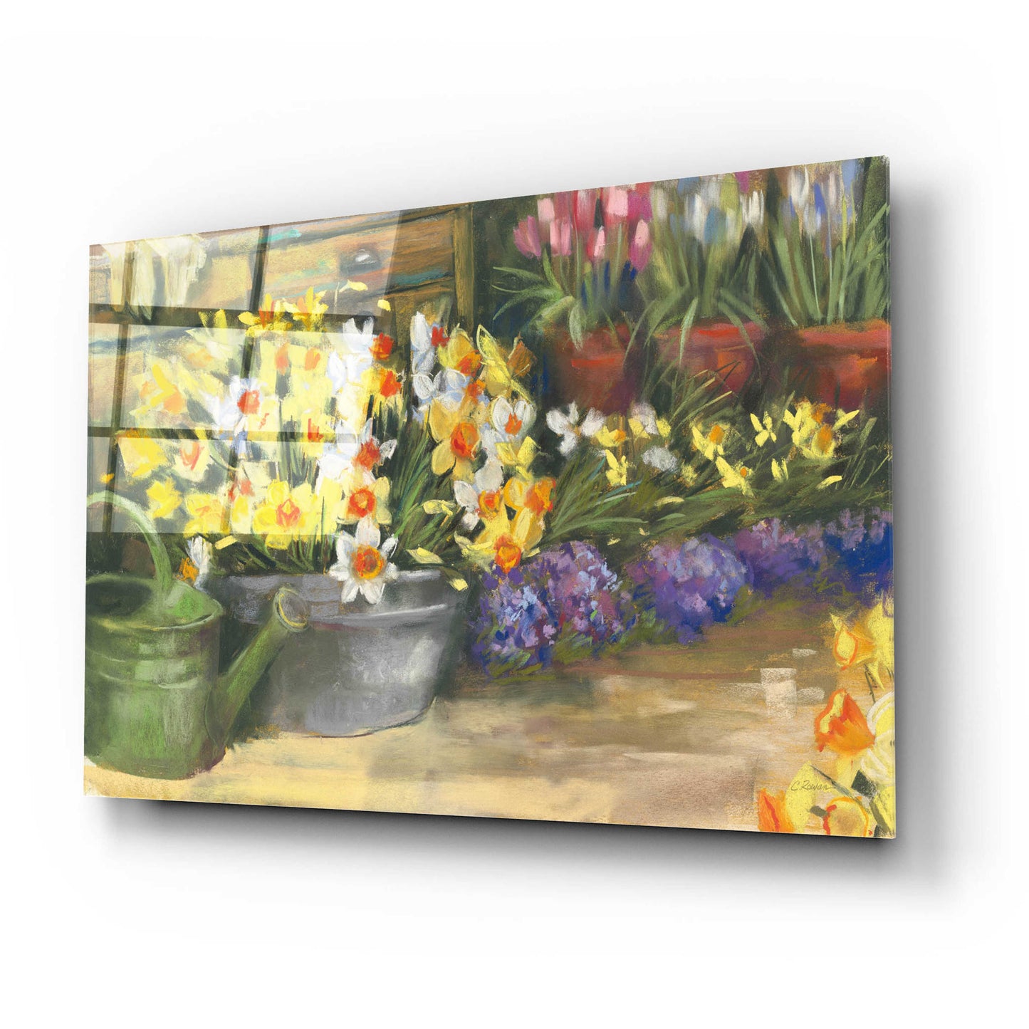 Epic Art 'Spring Daffodils' by Carol Rowan, Acrylic Glass Wall Art,24x16