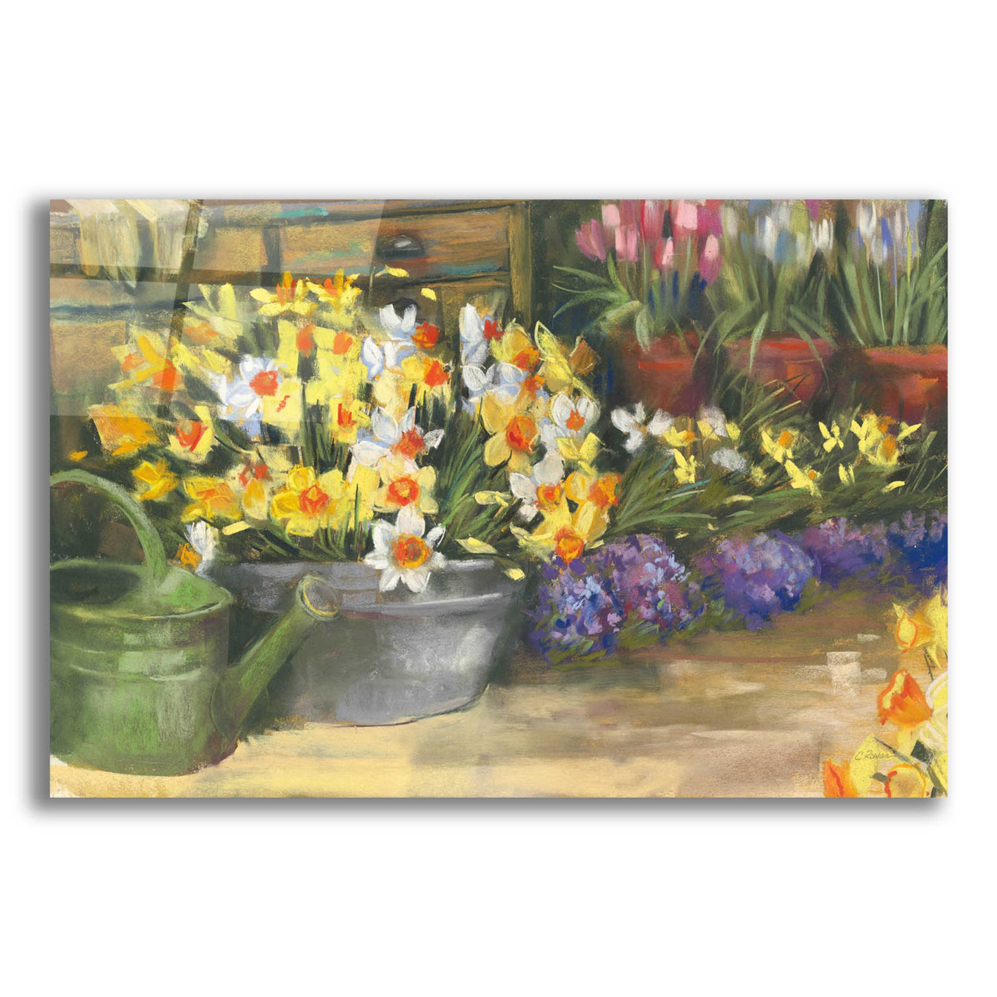 Epic Art 'Spring Daffodils' by Carol Rowan, Acrylic Glass Wall Art,24x16