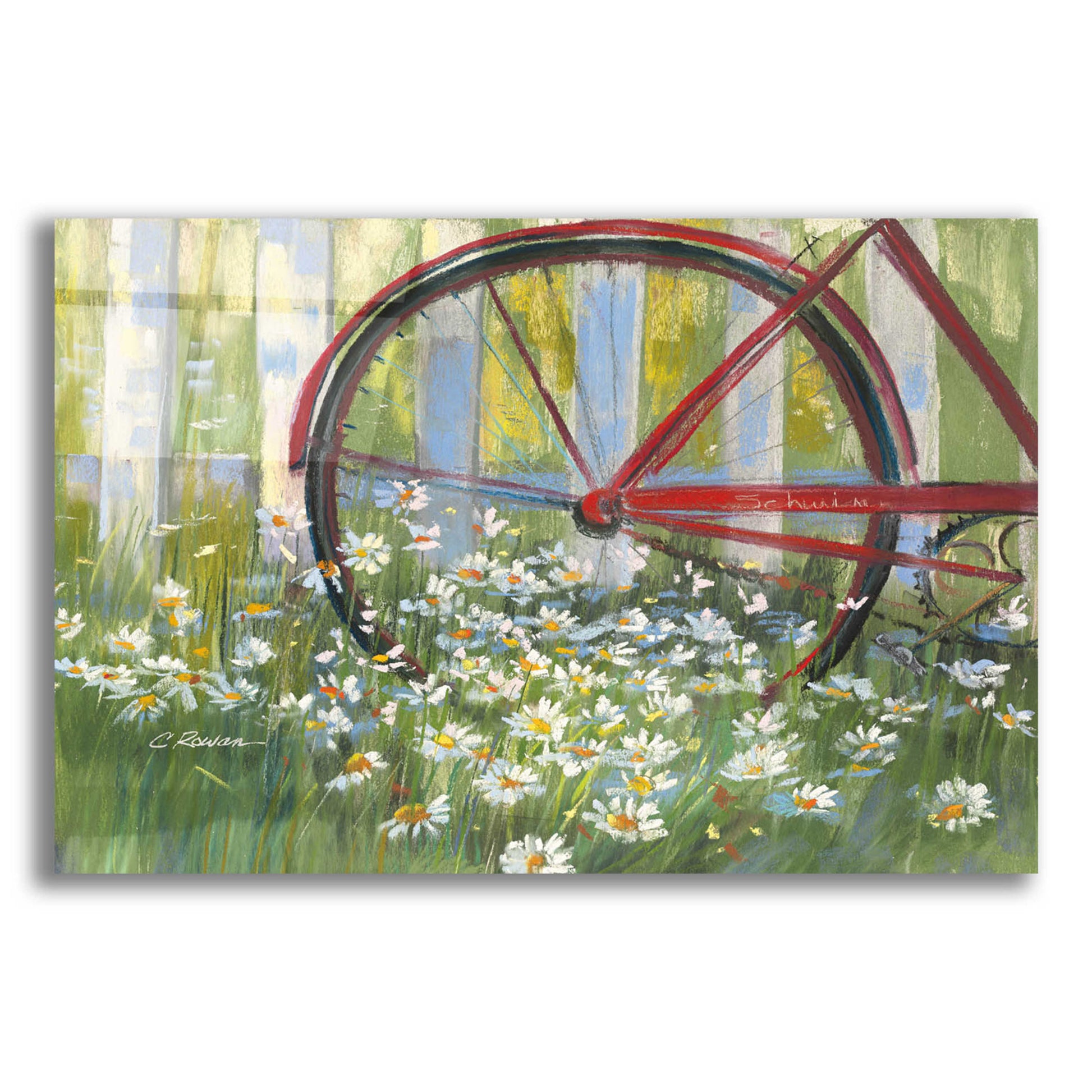 Epic Art 'Bicycle By The Fence Crop' by Carol Rowan, Acrylic Glass Wall Art,24x16