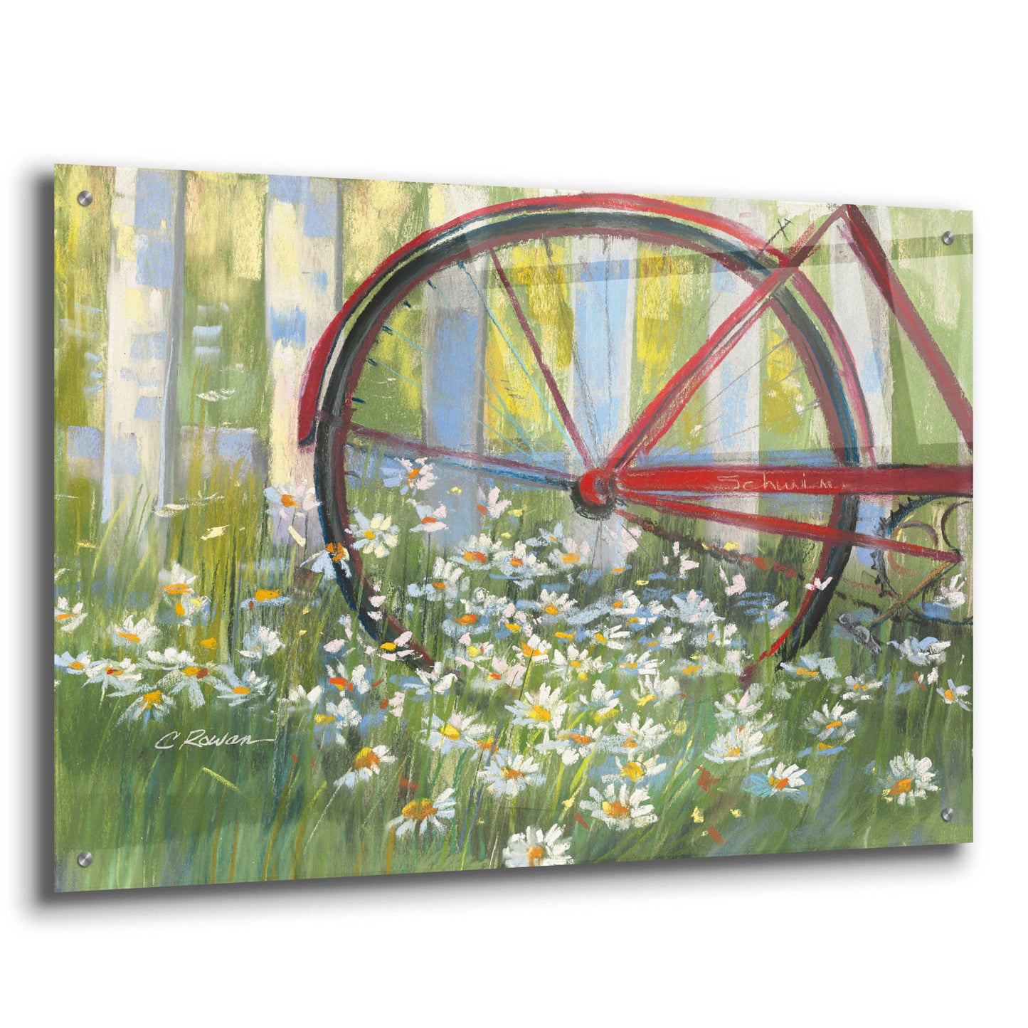 Epic Art 'Bicycle By The Fence Crop' by Carol Rowan, Acrylic Glass Wall Art,36x24