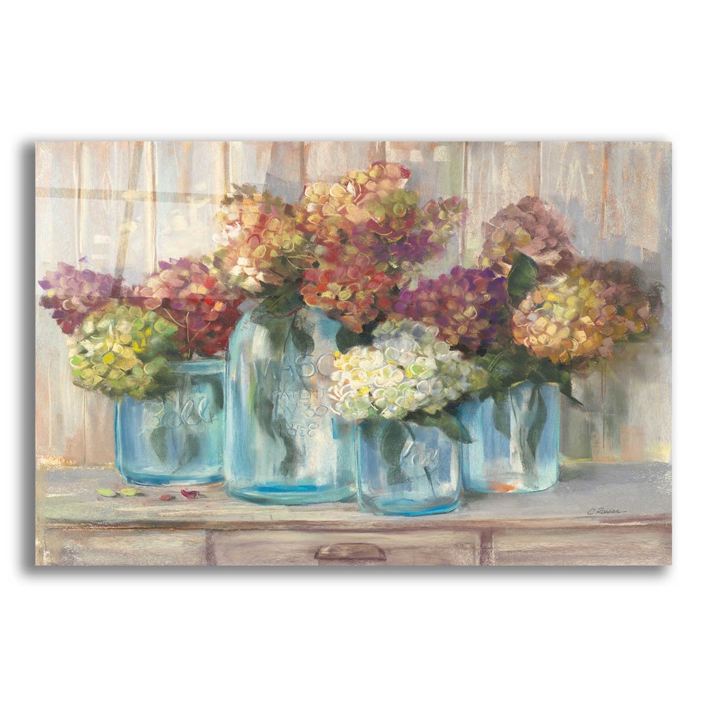 Epic Art 'Hydrangeas In Glass Jars' by Carol Rowan, Acrylic Glass Wall Art,16x12