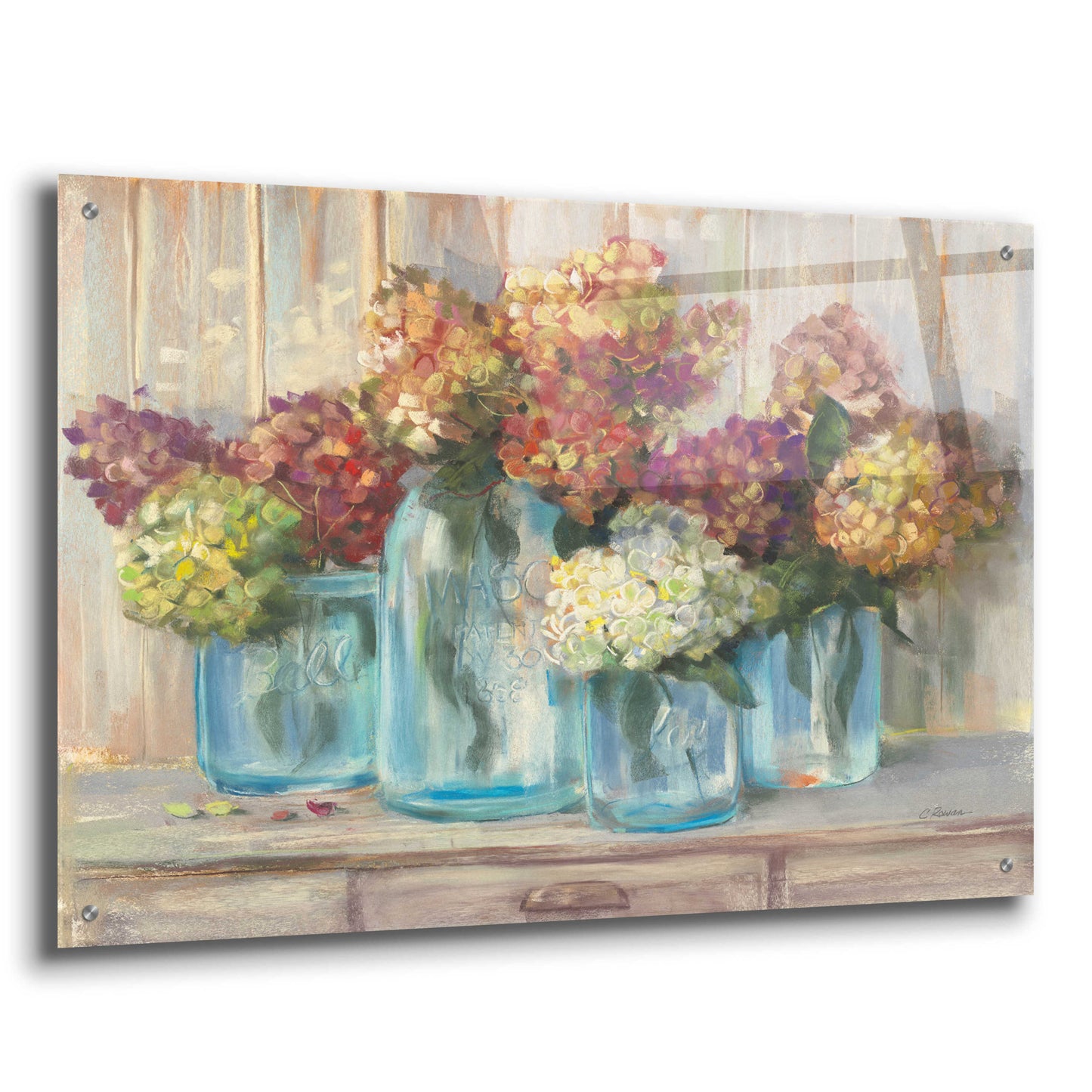 Epic Art 'Hydrangeas In Glass Jars' by Carol Rowan, Acrylic Glass Wall Art,36x24