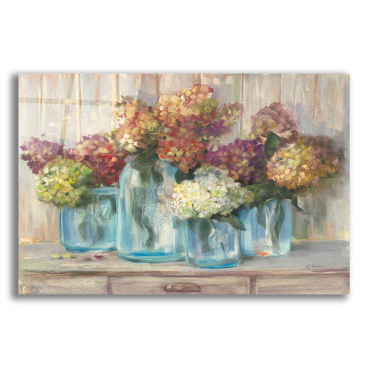 Epic Art 'Hydrangeas In Glass Jars' by Carol Rowan, Acrylic Glass Wall Art