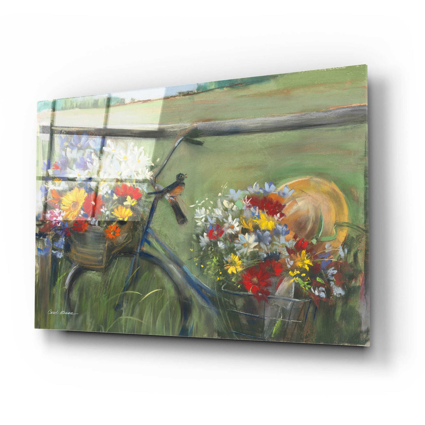 Epic Art 'Karens Bicycle' by Carol Rowan, Acrylic Glass Wall Art,24x16