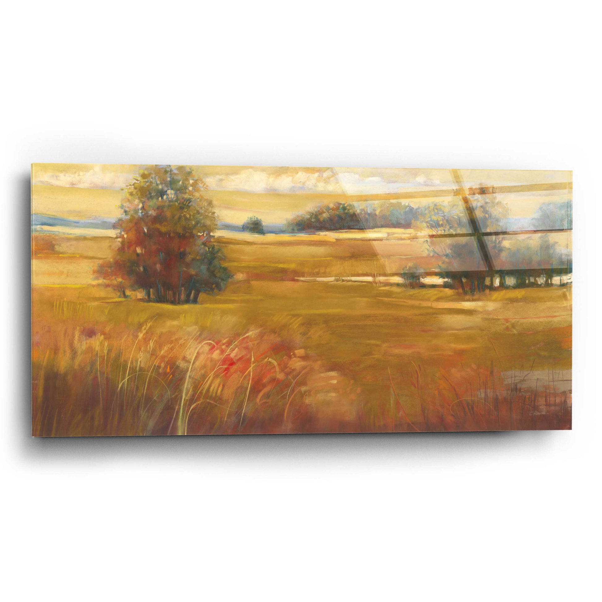 Epic Art 'October Light Golden Sky' by Carol Rowan, Acrylic Glass Wall Art,24x12