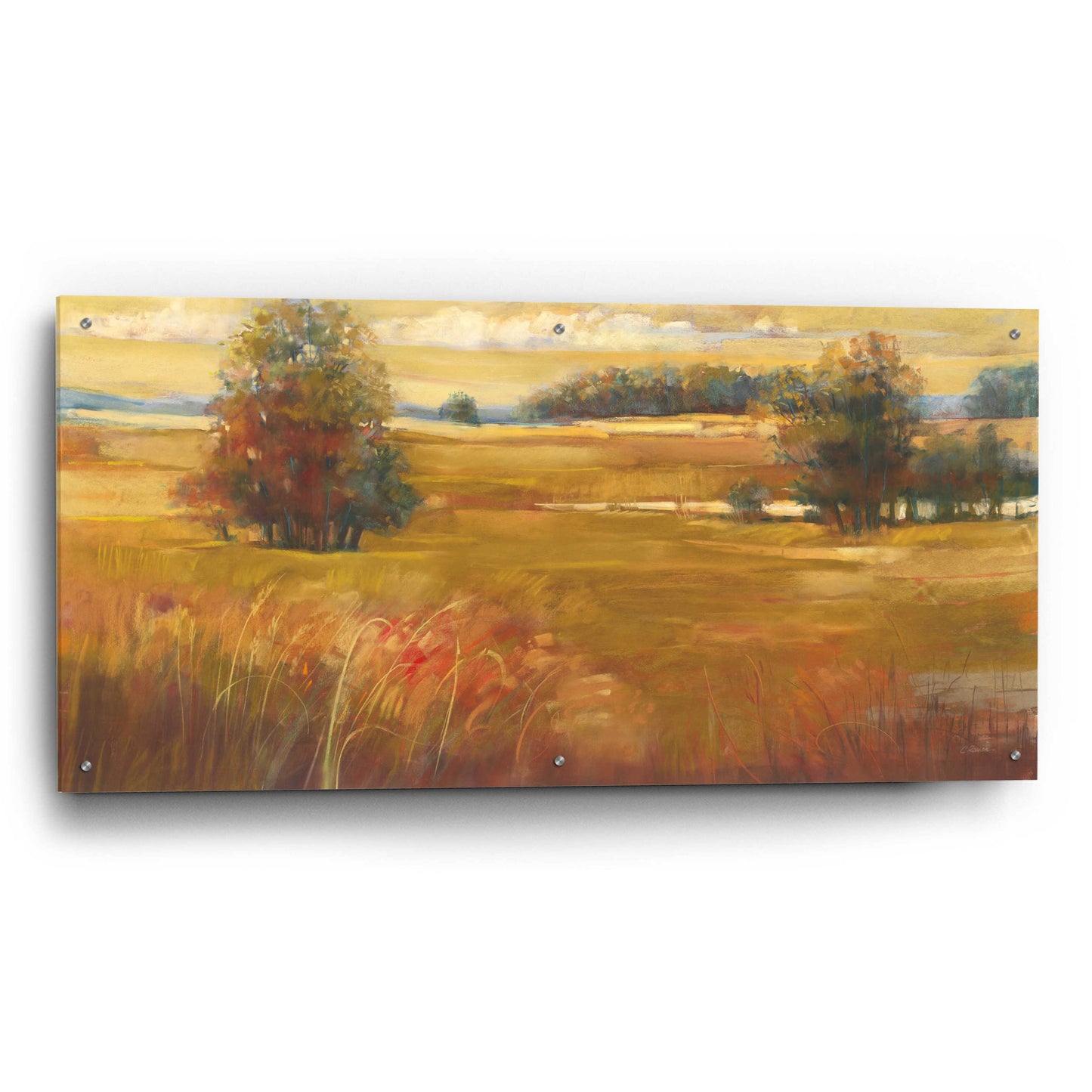 Epic Art 'October Light Golden Sky' by Carol Rowan, Acrylic Glass Wall Art,48x24