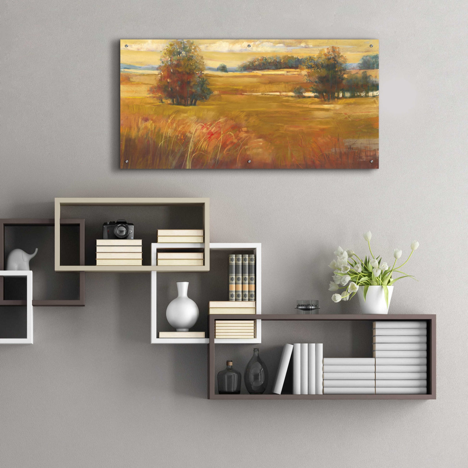 Epic Art 'October Light Golden Sky' by Carol Rowan, Acrylic Glass Wall Art,48x24